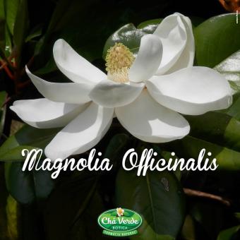 Magnolia Officinallis Ext Seco 250 Mg 60 Caps - Código 270
