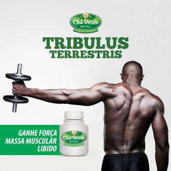 Tribulus Terrestris EXT SECO 40%